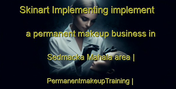 Skinart Implementing implement a permanent makeup business in Sedmacka Mahala area | PermanentmakeupTraining | PermanentmakeupClasses | SkinartTraining-Serbia